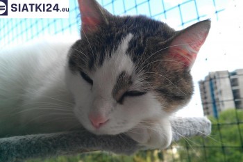 Siatki Puławy - Siatka na balkony dla kota i zabezpieczenie dzieci dla terenów Puław