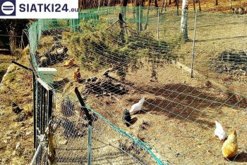 Siatki Puławy - Siatka na woliery - zabezpieczenia ptaków w hodowli dla terenów Puław